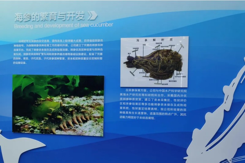 海洋科普篇-营会主题