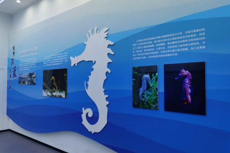 海洋科普篇-营会主题