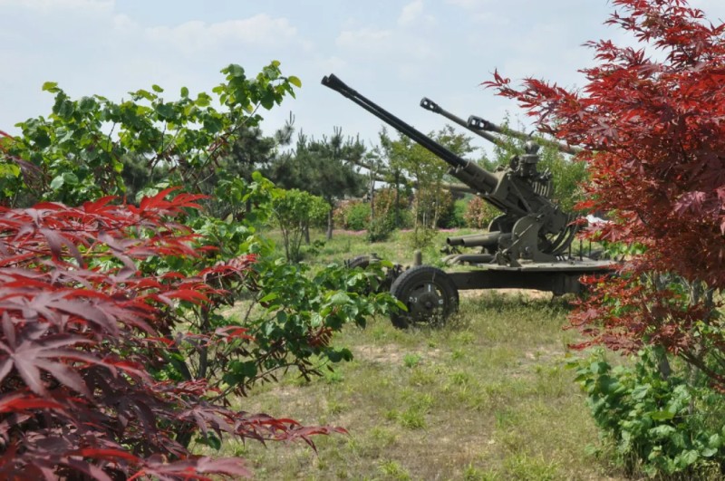 青岛《狼牙计划》体验夏令营（5天）