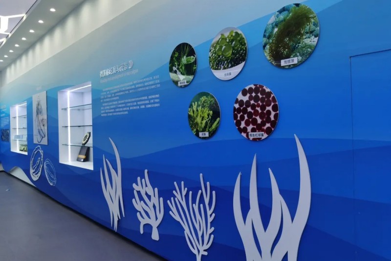 青岛《狼牙计划》体验夏令营（5天）