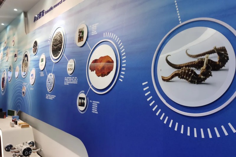 青岛《狼牙计划》体验夏令营（5天）