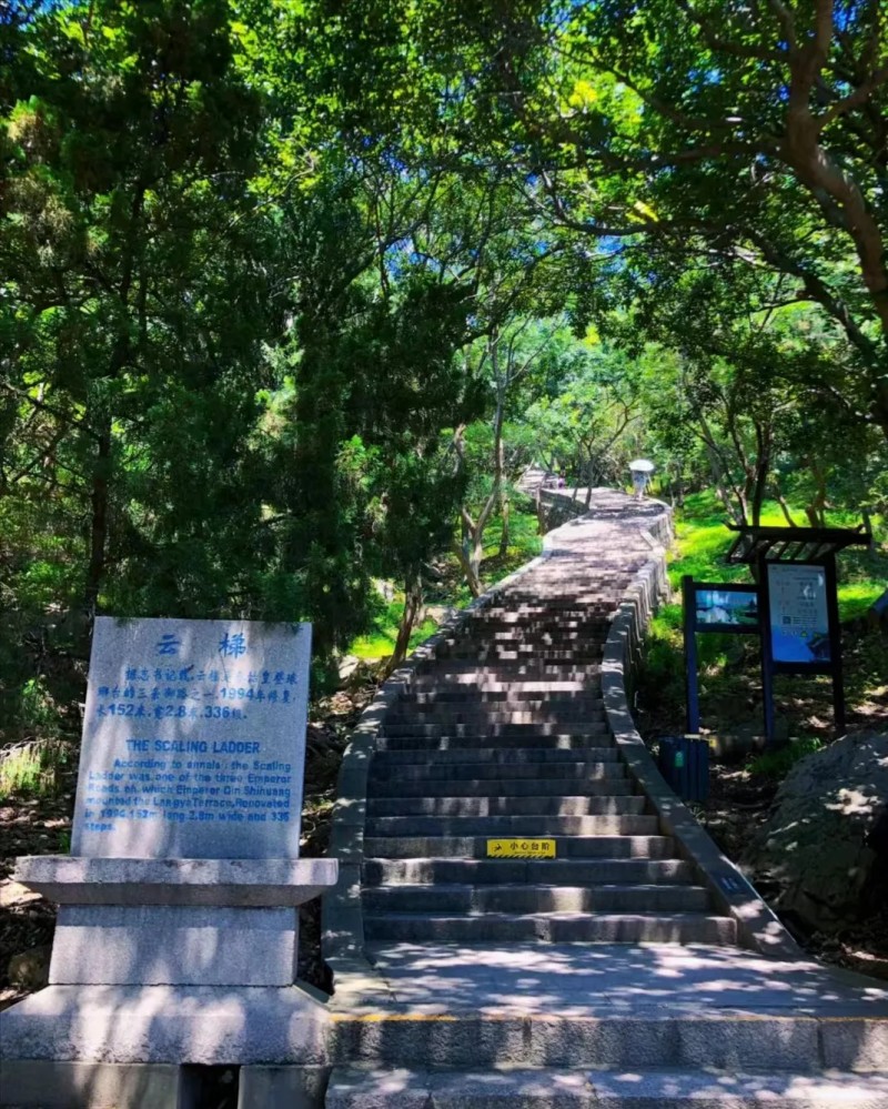 青岛《狼牙计划》体验夏令营（5天）