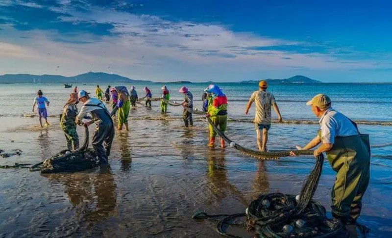 青岛《狼牙计划》体验夏令营（5天）