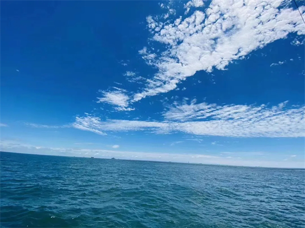 青岛《狼牙计划》体验夏令营（5天）