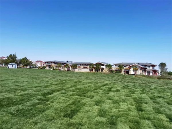 青岛《狼牙计划》体验夏令营（5天）